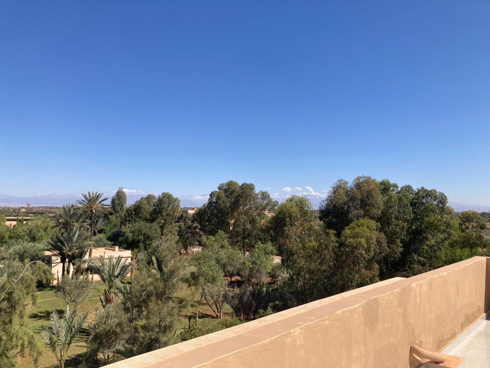 Family Palms Luxe Villa Marrakech With Private Pool Marrakesh Room photo